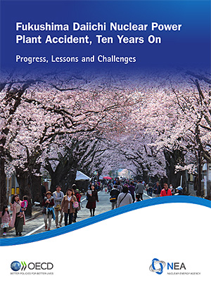 Fukushima Daiichi Nuclear Power Plant Accident, Ten Years On: Progress, Lessons and Challenges