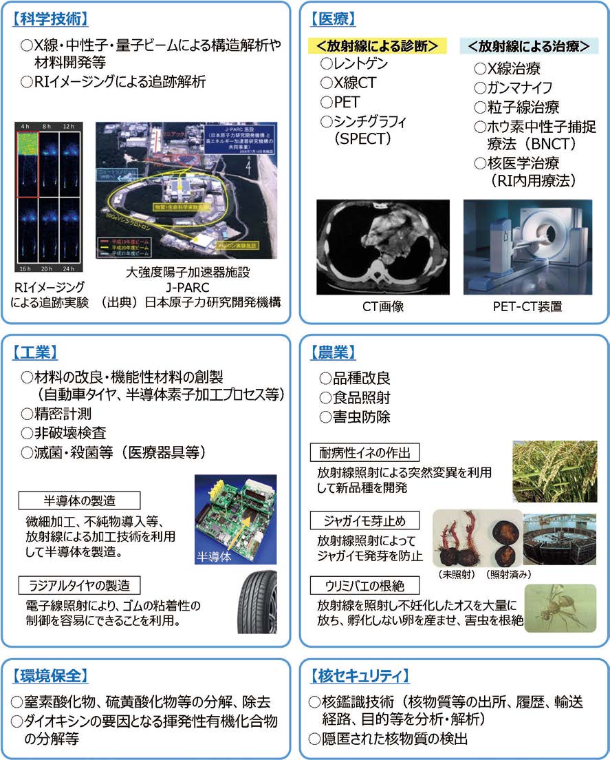 様々な分野における放射線利用の具体例