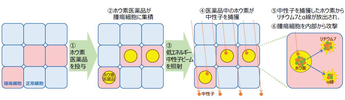 BNCTのイメージ