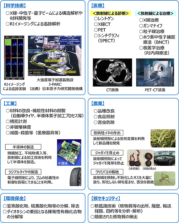 様々な分野における放射線利用の具体例