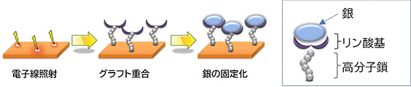 放射線グラフト重合による銀固定のイメージ