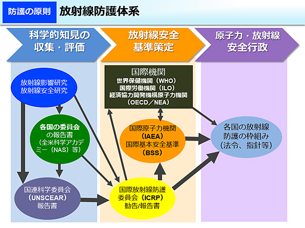 放射線防護体系