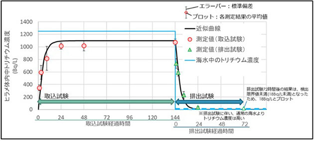 ヒラメ体内中トリチウム濃度測定結果