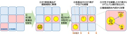 BNCTのイメージ