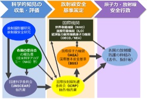 放射線防護体系