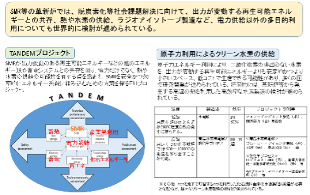 革新炉の多目的利用について