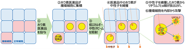 BNCTのイメージ