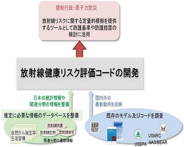 放射線健康リスク評価コード開発の概要