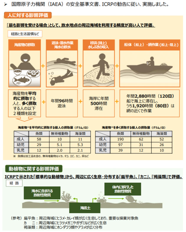 ALPS処理水の海洋放出による放射線影響の評価方法