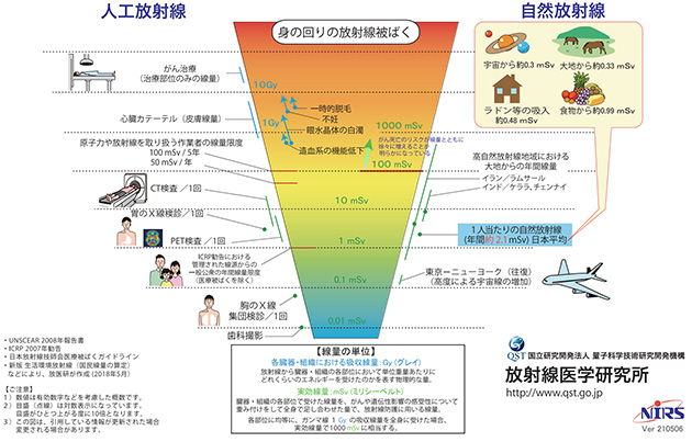 放射線被ばくの早見図