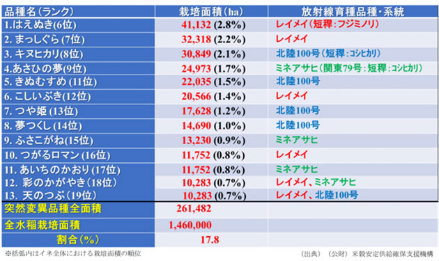 2019年産のイネの栽培面積トップ20に入った品種のうち、放射線育種品種・系統を活用して開発された品種
