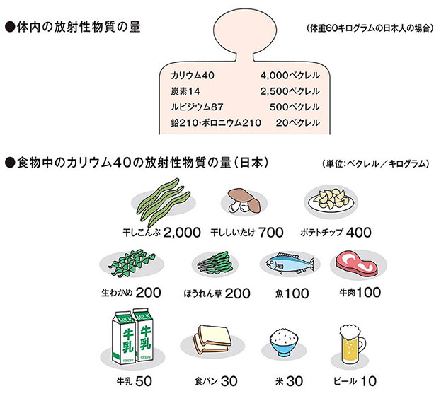 体内、食物中の自然放射性物質