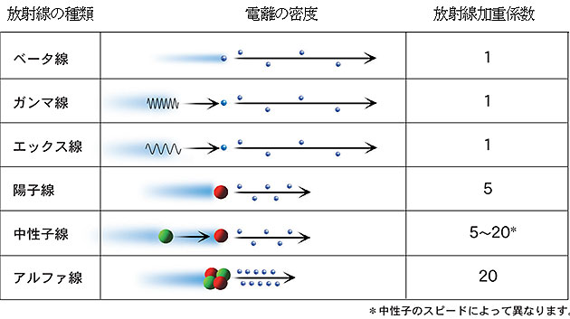 放射線の種類と放射線加重係数