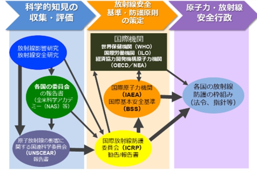 放射線防護体系