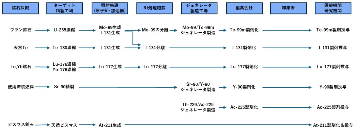 EUにおける放射性医薬品の主なサプライチェーンの概要