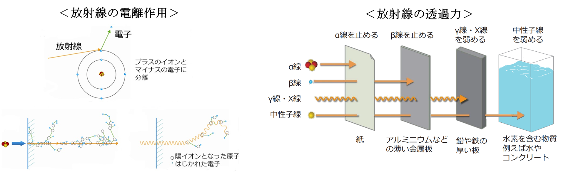 放射線の電離作用と透過力