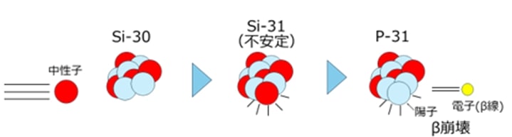 中性子線によりSiにPをドープする過程の概略